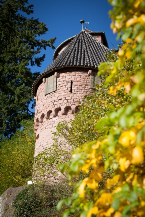 Haut-Koenigsbourg - 023